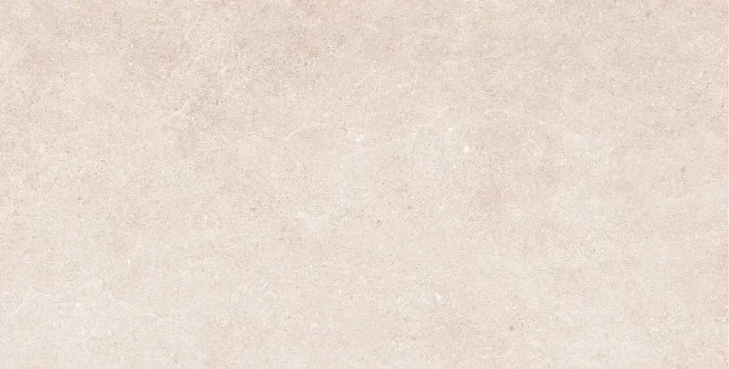 Brava Bone 60x120.webp