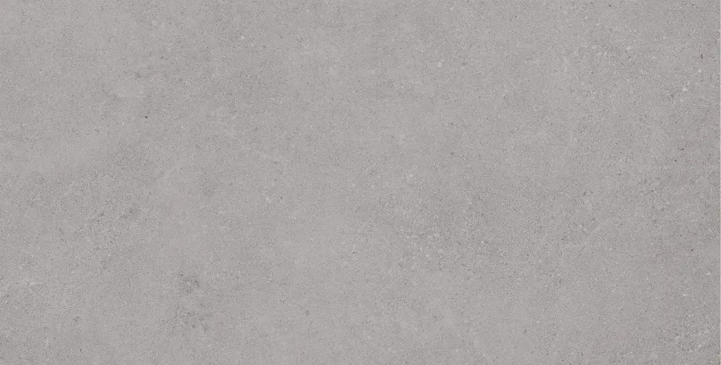 Brava Grey 60x120.webp