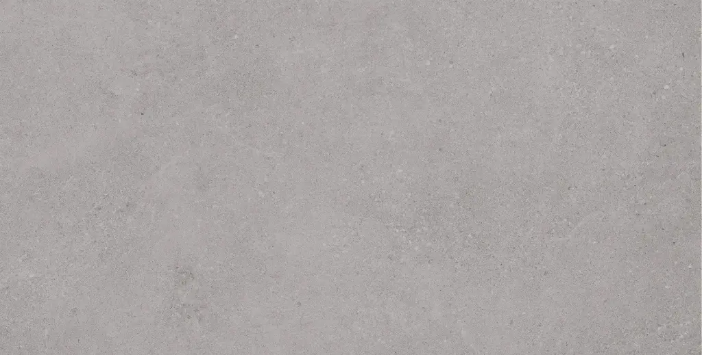 Brava Grey 60x120.webp