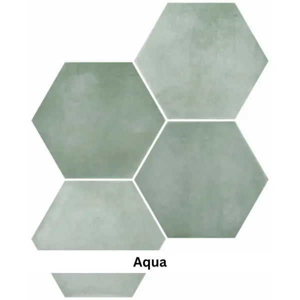 Aqua2.webp