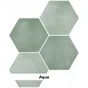 Aqua2.webp