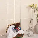 DevonHoneyWallTiles.webp