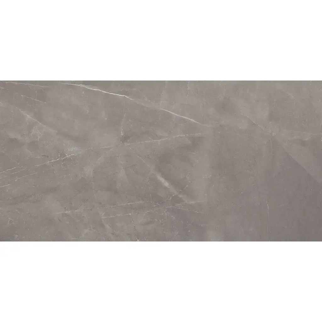 Armani 30x60 Gris Polished
