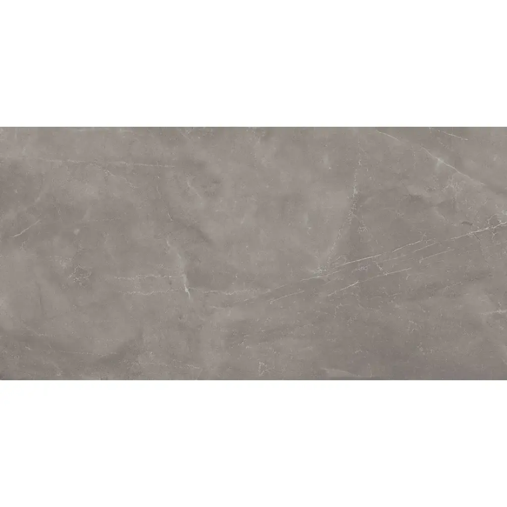 Armani 60x120 Gris Polished