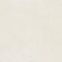 Casa 59.6x59.6 Ivory Matt