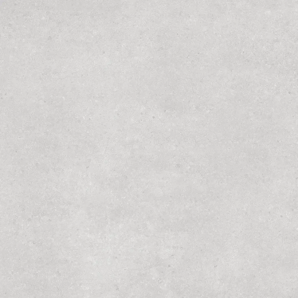 Casa 59.6x59.6 Light Grey Matt