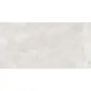 Elegant Onyx 60x120 Bianco Polished