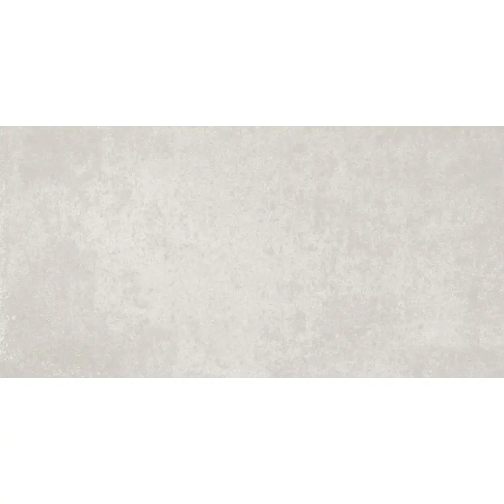 Everest 30x60 Silver Matt R10