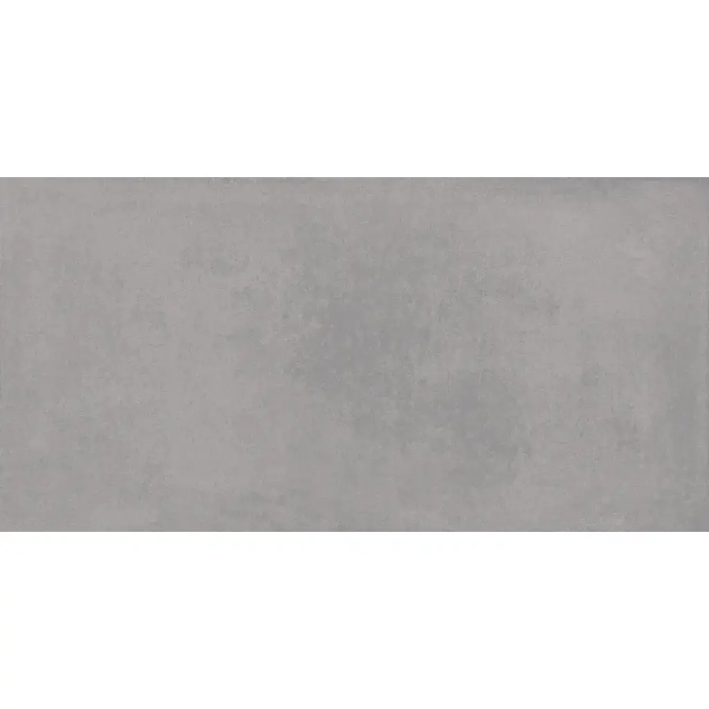 Everest 60x120 Grey Matt R10