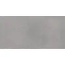 Everest 60x120 Grey Matt R10