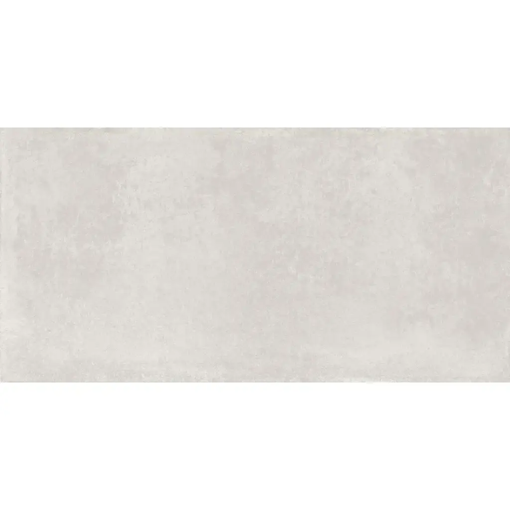 Everest 60x120 Silver Matt R10