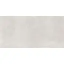 Everest 60x120 Silver Matt R10