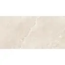 Jupiter Rock 30x60 Beige Matt R10