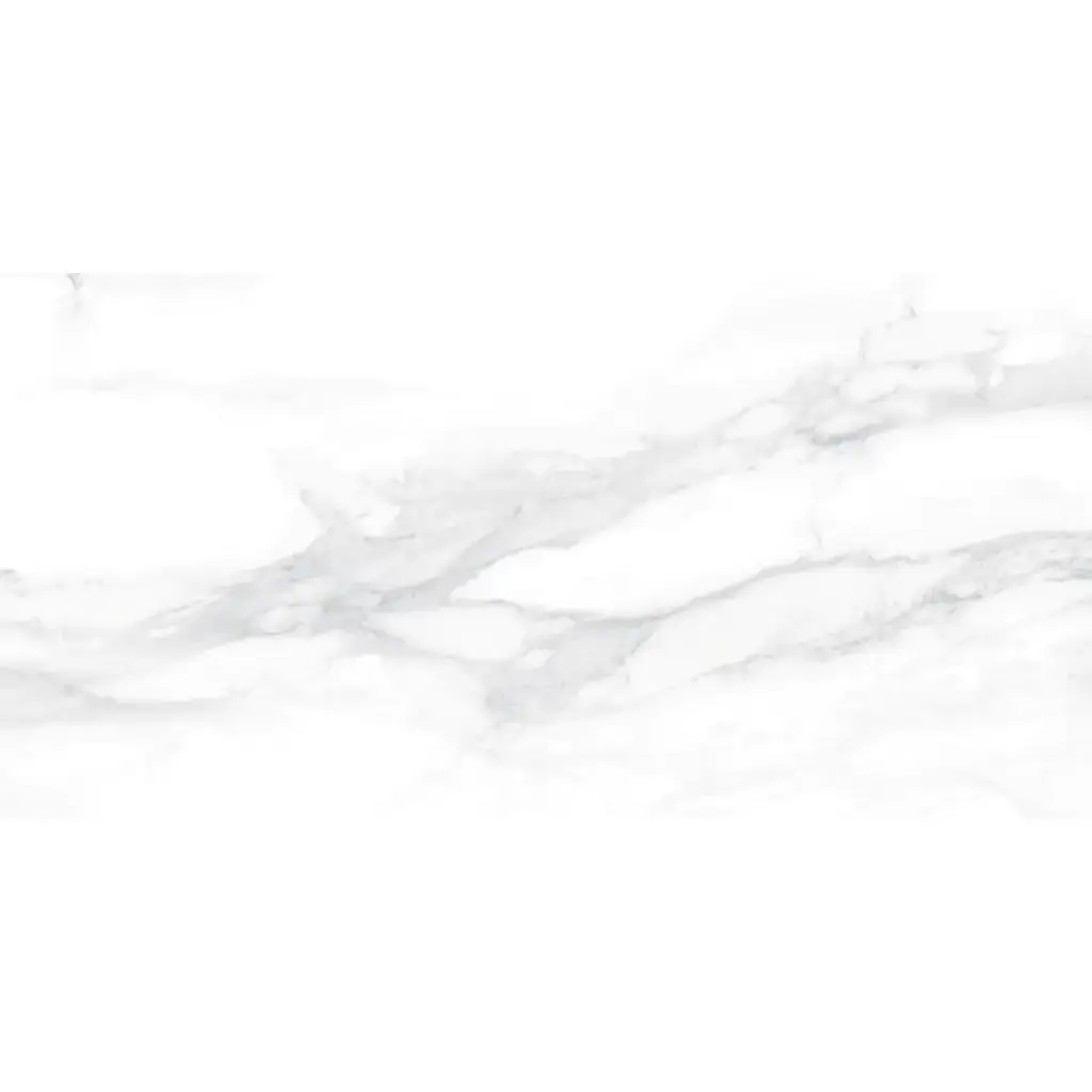Pantheon 30x60 White Matt R10