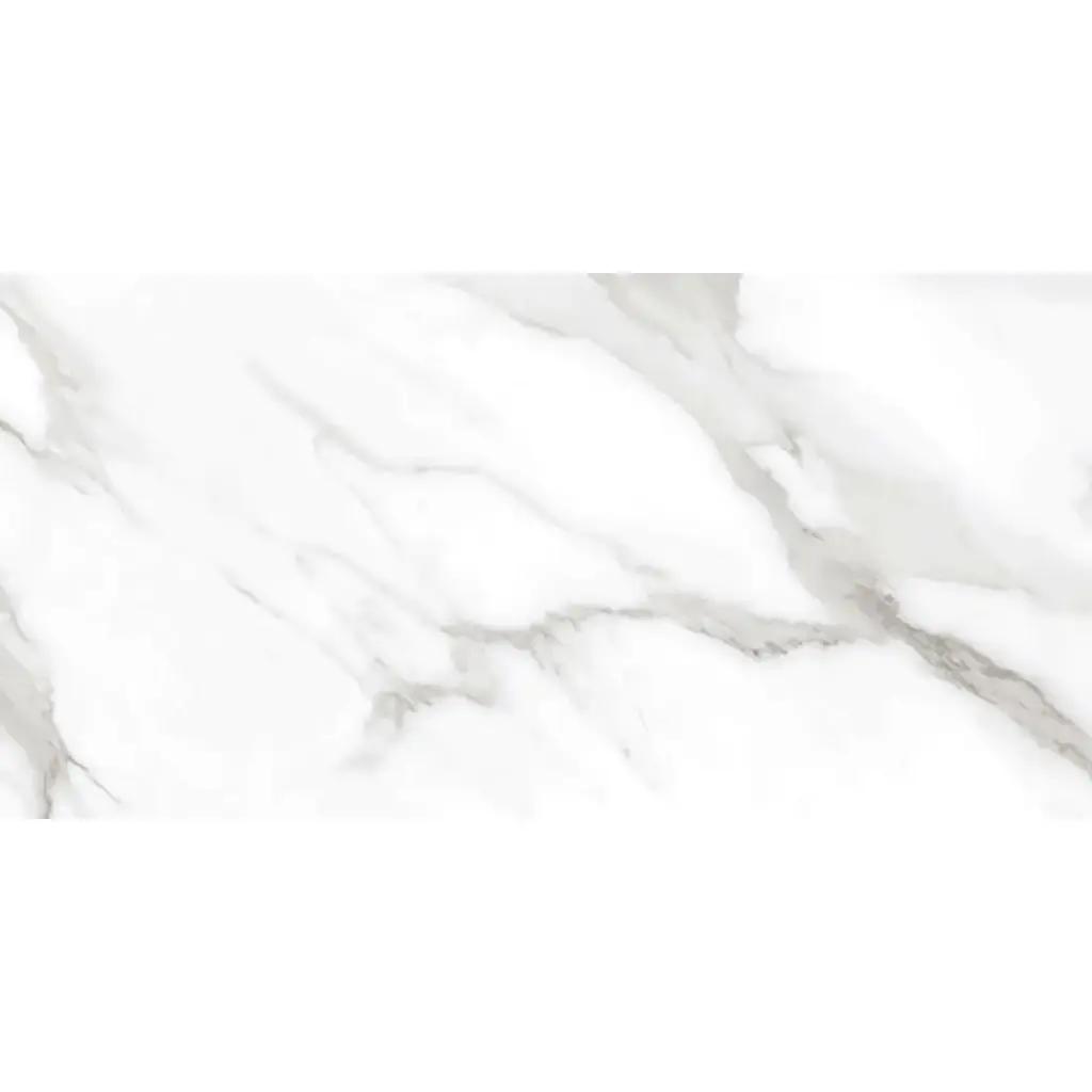 Taj Mercury 60x120 White Polished