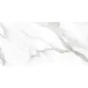 Taj Mercury 60x120 White Polished
