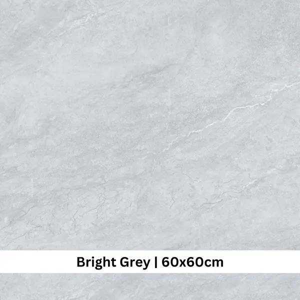 ASHVILLE BRIGHT GREY 60 X 60 ( EAB66003UK )