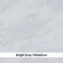 ASHVILLE BRIGHT GREY 60 X 60 ( EAB66003UK )