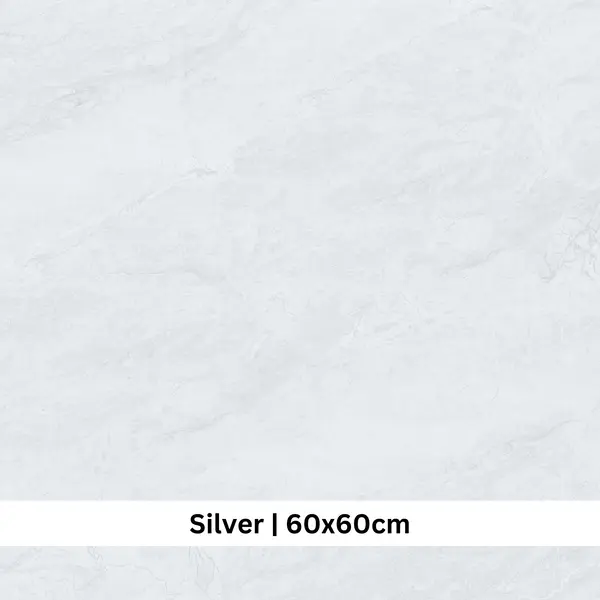 ASHVILLE SILVER 60 X 60 ( EAS66001UK )