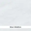 ASHVILLE SILVER 60 X 60 ( EAS66001UK )