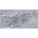 BAKLANIA GREY 60 X 120