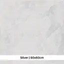 MONOLITH SILVER 60 X 60