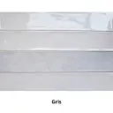 OMEGA GRIS 10.7 X 53