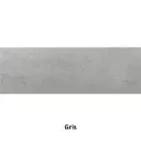 QUANTUM GRIS 20 X 60