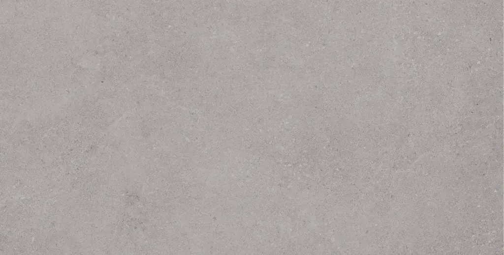 Brava Grey 30 x 60cm