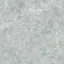 Charisma Grey 60 x 120cm