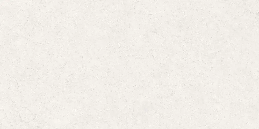 Dual White 600 x 300 x 7 