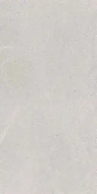 [J89760] BALTIC LIGHT GREY RET 60x120