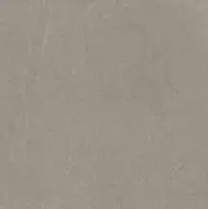 [J89773] BALTIC TAUPE RET 60x60