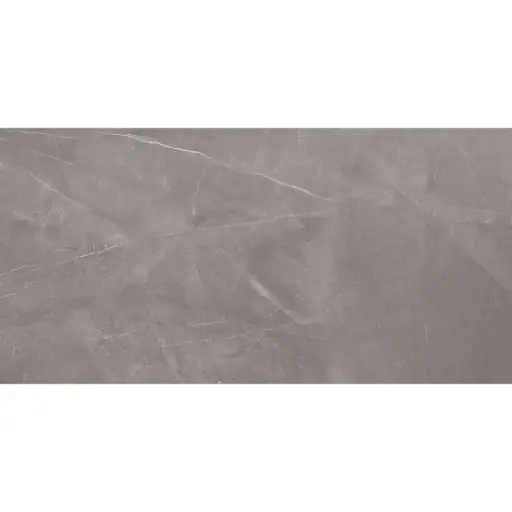 [5420] Armani 30x60 Gris Polished