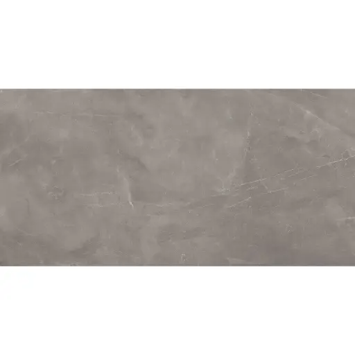 [5396] Armani 60x120 Gris Polished