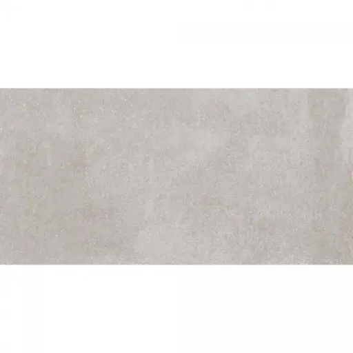 [1658] Autumn 30x60 Dark Grey Gloss