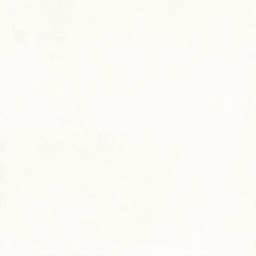 [6314] Everest 60x60 Blanco Matt R10