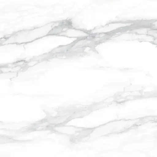 [6250] Pantheon 60x60 White Matt R10