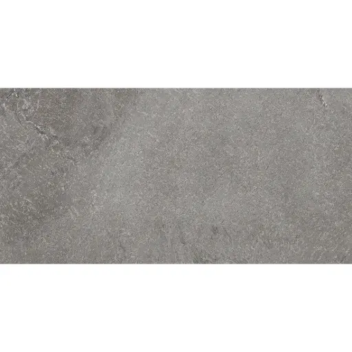 [J90592] Rossato 30x60 Silver Matt