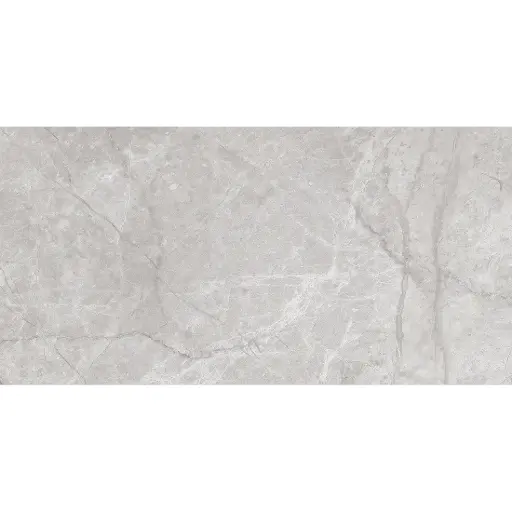 [50958] Spring 30x60 Gris Gloss