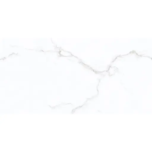 [J86689] Trevi New 30x60 White Gloss