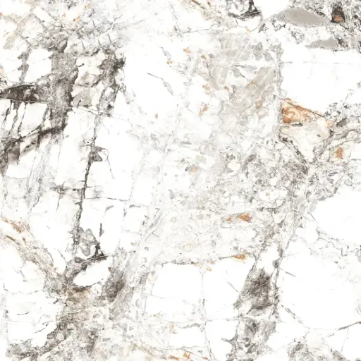 [5615] Zebra 60x60 White Polished