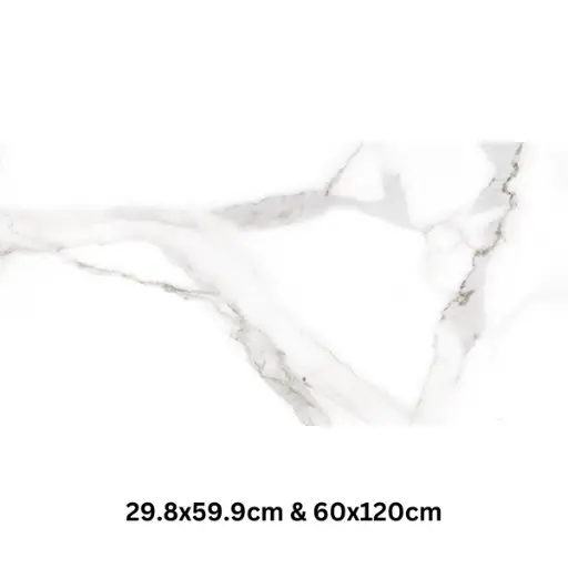 [ALSA60120CARM] ALSACIA CARRARA MATT 60 X 120 ( RECTIFIED )