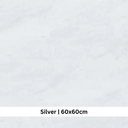 [ASHV6060SIL] ASHVILLE SILVER 60 X 60 ( EAS66001UK )