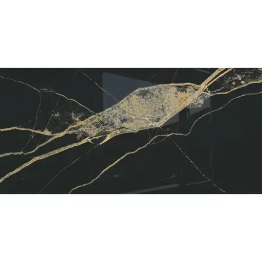 [BLAC60120GLDP] BLACK GOLD POLISHED 60 X 120