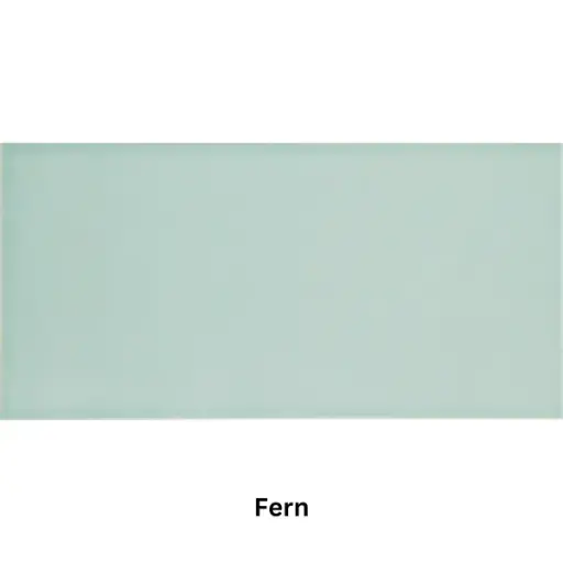[DEVOPLNFER] DEVON LISO FERN 10 X 20