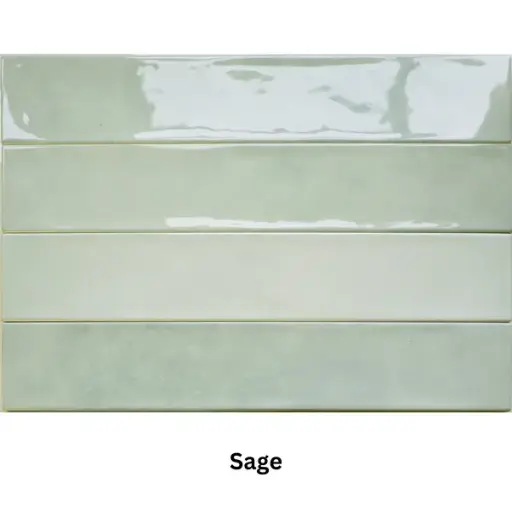 [OMEG10753SAG] OMEGA SAGE 10.7 X 53