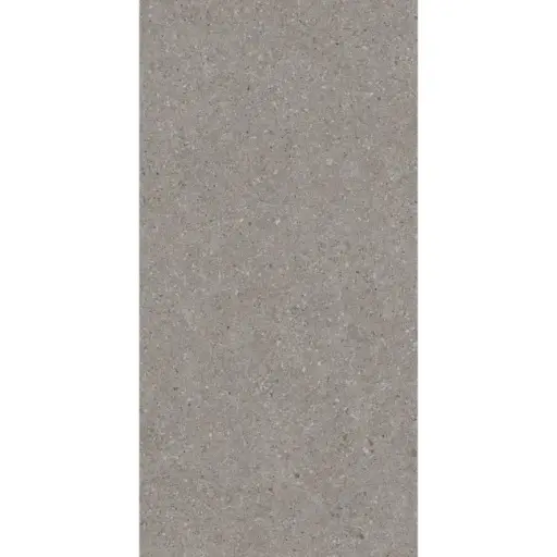 [ALEBALGREMAT3060] Balance Grey Matte 300x600