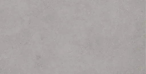 Brava Grey 60 x 120cm